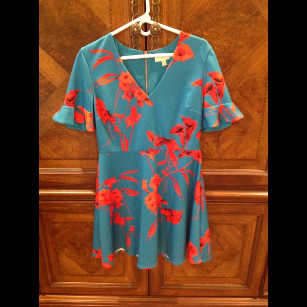 Ted Baker London teal and red floral dress.